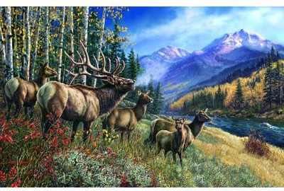 

SunsOut Elk Anthem 1000 pc Jigsaw Puzzle(1000 Pieces)