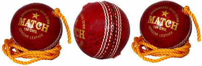 

Diablo Sports Leather Match Practice Hanging Cricket Ball Red Pack of 3 Cricket Training Ball(Pack of 3, Red)