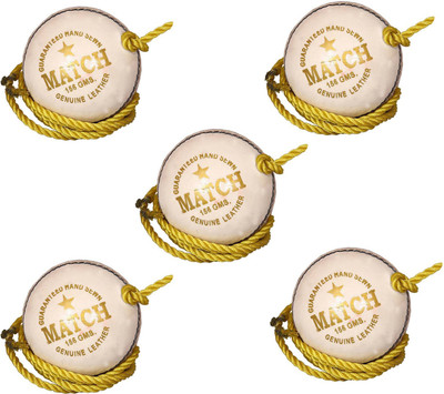 

Diablo Sports Leather Match Practice Hanging Cricket Ball White Pack of 5 Cricket Training Ball(Pack of 5, White)