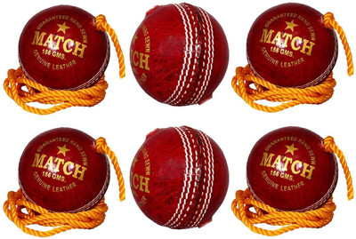 

Diablo Sports Leather Match Practice Hanging Cricket Ball Red Pack of 6 Cricket Training Ball(Pack of 6, Red)