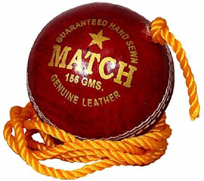 

Diablo Sports Leather Match Practice Hanging Cricket Ball Red Cricket Training Ball(Pack of 1, Red)