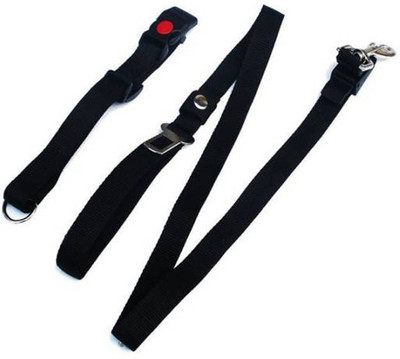 

Zenon Dog Collar & Leash(, Black