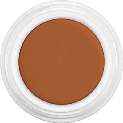 

Kryolan Derma Color Camouflage Cream 4g ( D13 ) Concealer(D13)