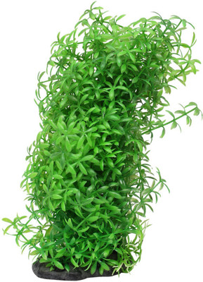 

Foodie Puppies Artificial Plant with Natural Looking Laterite Planted Substrate(Multicolor)