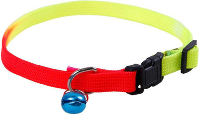 

Pets Empire Dog Everyday Collar(, Multicolor
