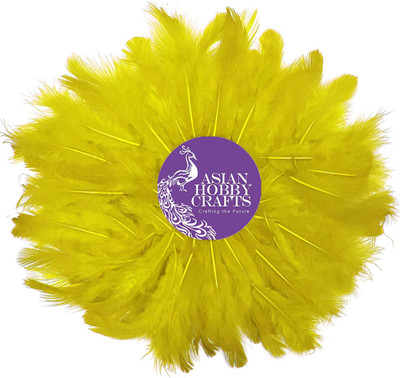 

AsianHobbyCrafts Natural Dyed Feathers, Yellow (80 Pieces)
