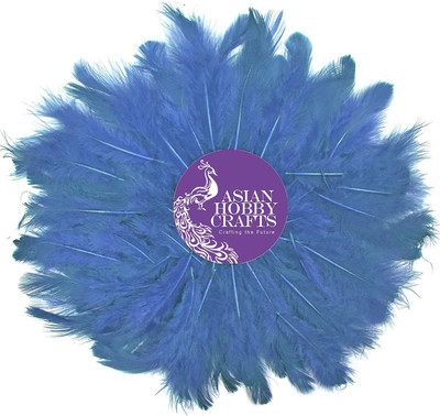 

AsianHobbyCrafts Natural Dyed Feathers, Blue (80 Pieces)