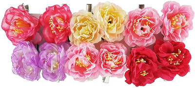 

AASA Beautiful Hair Pin, Hair Clip For Girls For Party Hair Clip, Hair Pin, Hair Accessory Set(Multicolor)
