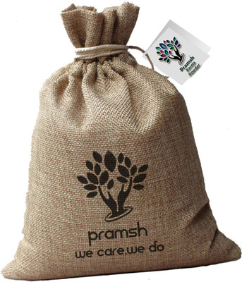 

PRAMSH Luxurious Karela Powder Pack of 600gm(600 g)