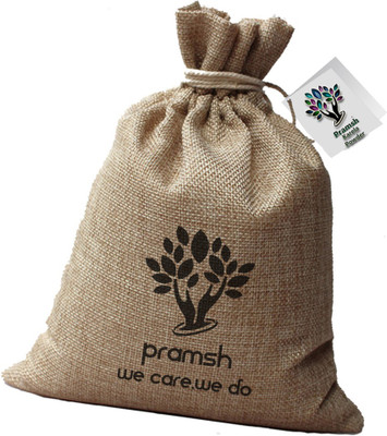 

PRAMSH Luxurious Karela Powder Pack of 300gm(300 g)