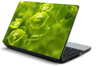 PrintHunt MULTICOLOR-365 VINYL Laptop Decal 15.6