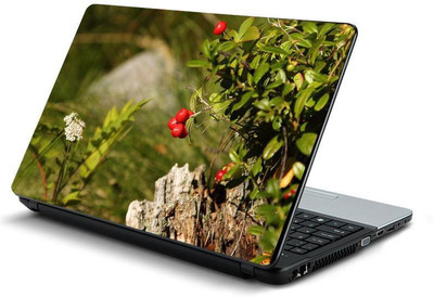 

PrintHunt MULTICOLOR-153 VINYL Laptop Decal 15.6