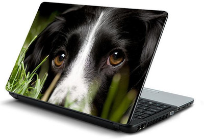 

PrintHunt MULTICOLOR-191 VINYL Laptop Decal 15.6