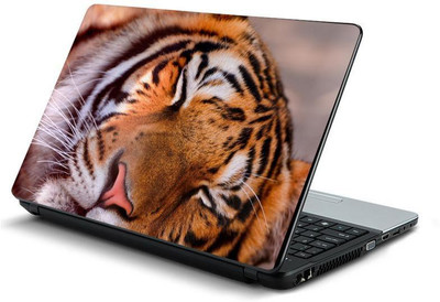 

PrintHunt MULTICOLOR-372 VINYL Laptop Decal 15.6