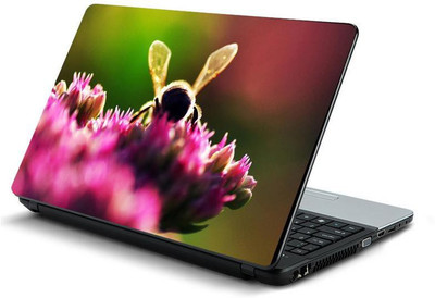 

PrintHunt MULTICOLOR-586 VINYL Laptop Decal 15.6