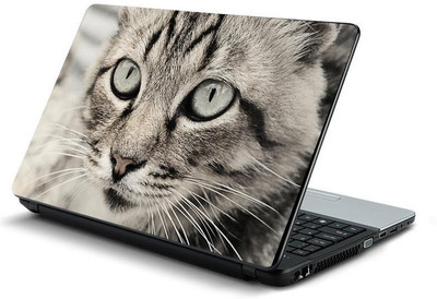 

PrintHunt MULTICOLOR-312 VINYL Laptop Decal 15.6