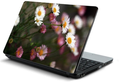 PrintHunt MULTICOLOR-396 VINYL Laptop Decal 15.6