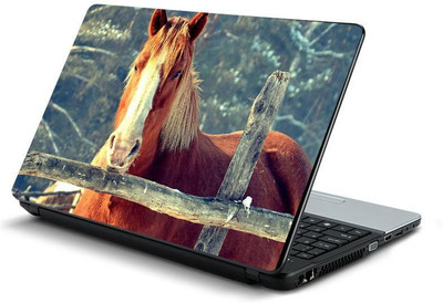 

PrintHunt MULTICOLOR-635 VINYL Laptop Decal 15.6