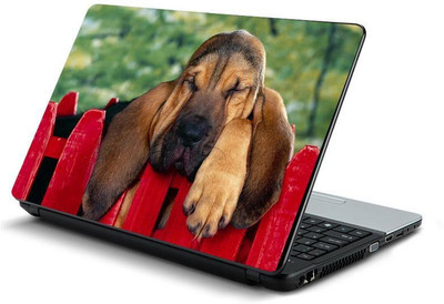 

PrintHunt MULTICOLOR-128 VINYL Laptop Decal 15.6
