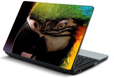 

PrintHunt MULTICOLOR-373 VINYL Laptop Decal 15.6