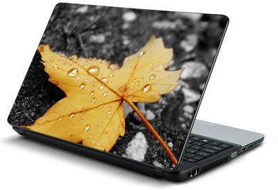 

PrintHunt MULTICOLOR-364 VINYL Laptop Decal 15.6