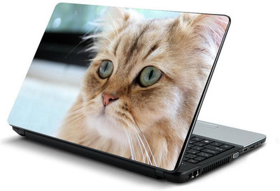 

PrintHunt MULTICOLOR-347 VINYL Laptop Decal 15.6