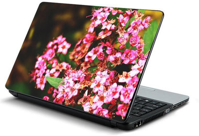 

PrintHunt MULTICOLOR-415 VINYL Laptop Decal 15.6