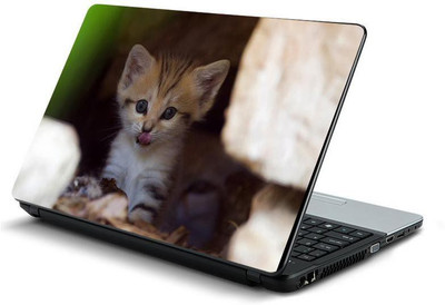 

PrintHunt MULTICOLOR-384 VINYL Laptop Decal 15.6