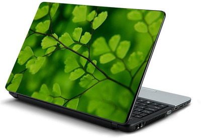 

PrintHunt MULTICOLOR-393 VINYL Laptop Decal 15.6