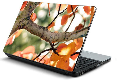 

PrintHunt MULTICOLOR-154 VINYL Laptop Decal 15.6