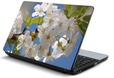 

PrintHunt MULTICOLOR-433 VINYL Laptop Decal 15.6