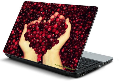 PrintHunt MULTICOLOR-094 VINYL Laptop Decal 15.6