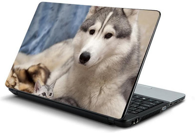 

PrintHunt MULTICOLOR-330 VINYL Laptop Decal 15.6