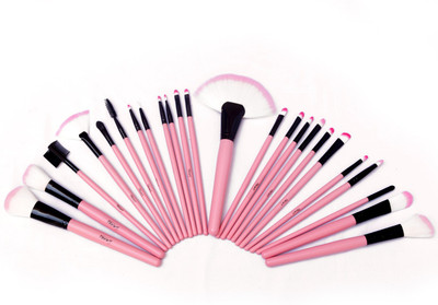 

Healthllave Makeup Brush Organizer(Pink)