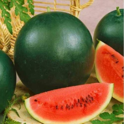 NeLeSa Gardening Watermelon Seed(20 per packet)