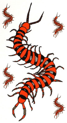 

smilendeal Smilendeal_T2555 Insects Temp Body Tattoo(Insects)