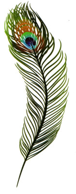

smilendeal Smilendeal_T2602 Feather Temp Body Tattoo(Feather)