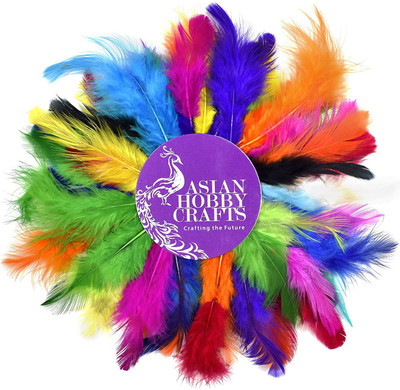 

AsianHobbyCrafts Natural Dyed Feathers,Multi Color (80 Pieces)