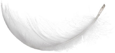 

AsianHobbyCrafts Natural Dyed Feathers, White (80 Pieces)
