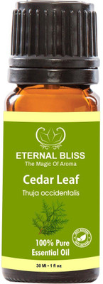 

Eternal Bliss Cedar Leaf Essential Oil, 100% Pure, & Undiluted (30ML)(30 ml)
