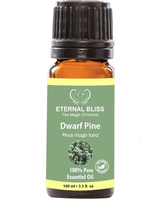 

Eternal Bliss Dwarf Pine Essential Oil, 100% Pure, & Undiluted (100ML)(100 ml)