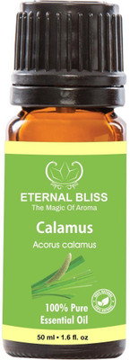 

Eternal Bliss Calamus Essential Oil, 100% Pure, & Undiluted (50ML)(50 ml)