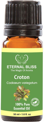 

Eternal Bliss Croton Essential Oil, 100% Pure, & Undiluted (50ML)(50 ml)