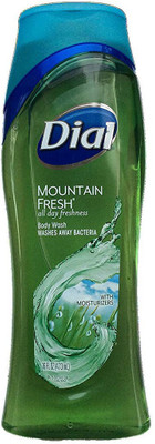 

Dial Body Wash, Mountain Fresh, 16 Fl. Oz(532 ml)