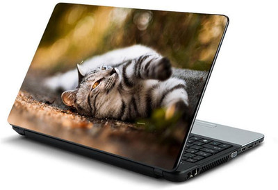 

PrintHunt MULTICOLOR-668 VINYL Laptop Decal 15.6