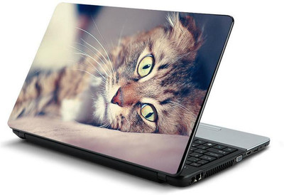 

PrintHunt MULTICOLOR-231 VINYL Laptop Decal 15.6