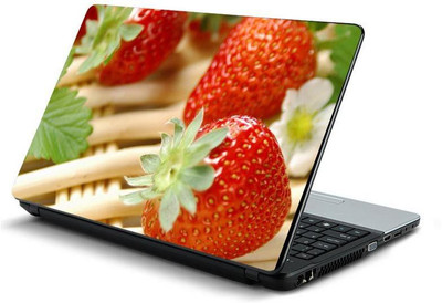 

PrintHunt MULTICOLOR-467 VINYL Laptop Decal 15.6