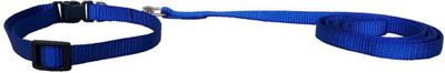 

Pet Needs High Quality Nylon Leash With Collar Set For Puppy -1 CM 114 cm Dog Strap Leash(Blue)