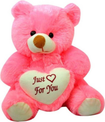 SPD TEDDY Just For You Teddy Bear 2 Feet Sitting (Pink) - 60.4 cm(Pink)