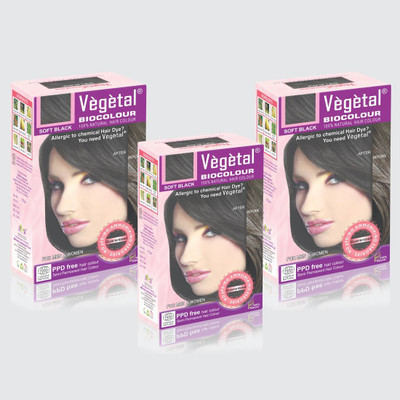 

Vegetal Soft Black ( 150 gm × 3 ) Hair Color(Soft Black ( 150 gm × 3 ))